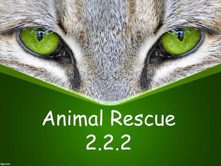 Animal Rescue 2.2.2.