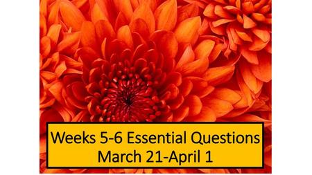 Weeks 5-6 Essential Questions March 21-April 1