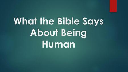 What the Bible Says About Being Human