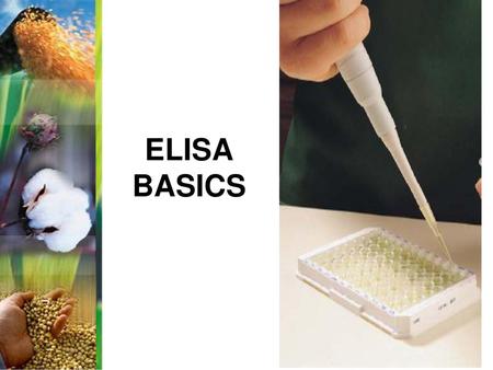 ELISA BASICS.