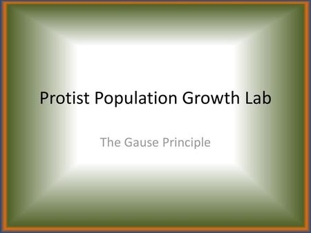 Protist Population Growth Lab