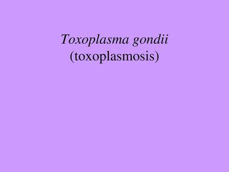 Toxoplasma gondii (toxoplasmosis)