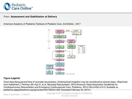 Copyright © 2017 American Academy of Pediatrics.