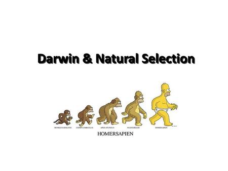 Darwin & Natural Selection