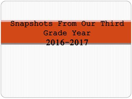 Snapshots From Our Third Grade Year