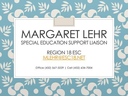 Margaret lehr Special Education Support Liaison  Region 18 ESC