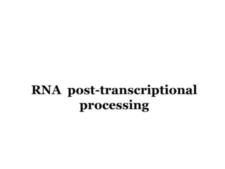 RNA post-transcriptional processing