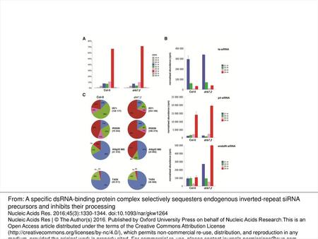 Figure 1. drb7.2 mutant plants display altered accumulation of endoIR-siRNA. Wild-type (Col-0) and drb7.2 mutant plants were subjected to high throughput.