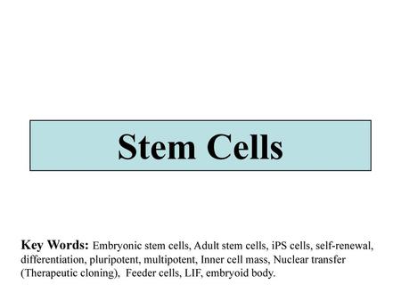 Stem Cells Key Words: Embryonic stem cells, Adult stem cells, iPS cells, self-renewal, differentiation, pluripotent, multipotent, Inner cell mass, Nuclear.