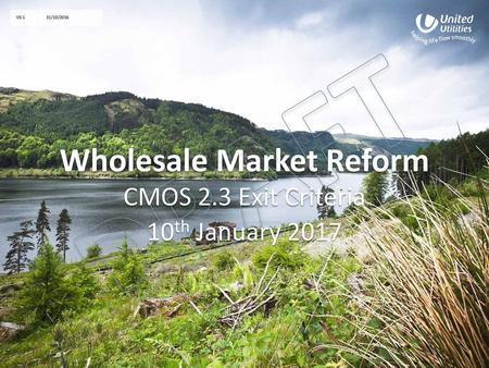 Wholesale Market Reform