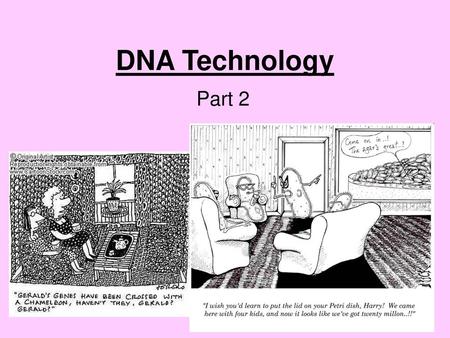 DNA Technology Part 2.