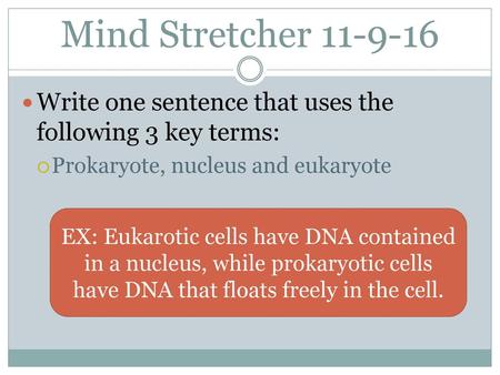 Mind Stretcher Write one sentence that uses the following 3 key terms: