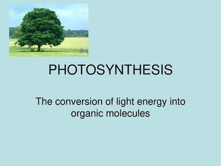 The conversion of light energy into organic molecules