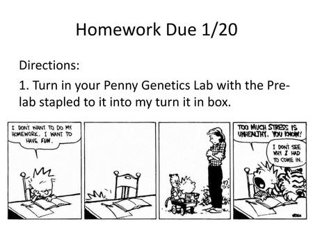 Homework Due 1/20 Directions: 1. Turn in your Penny Genetics Lab with the Pre-lab stapled to it into my turn it in box.