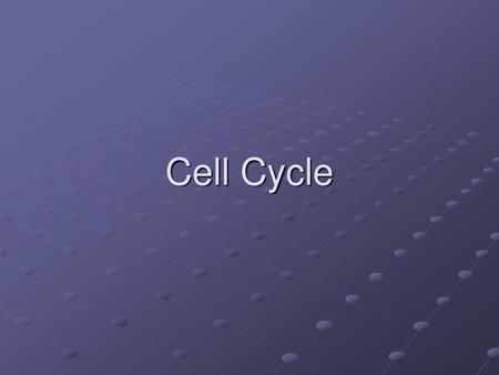 Cell Cycle.