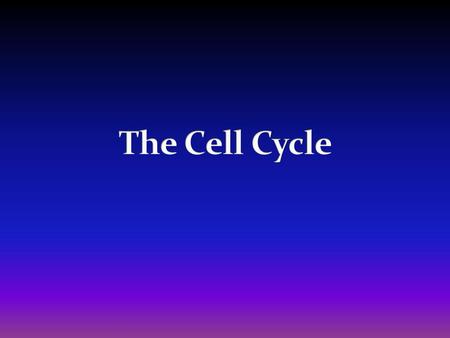 The Cell Cycle.