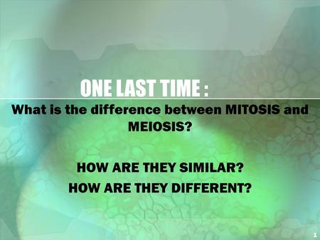 What is the difference between MITOSIS and MEIOSIS?