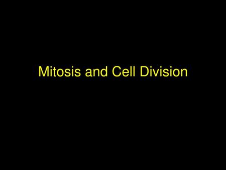 Mitosis and Cell Division