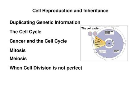 Cell Reproduction and Inheritance