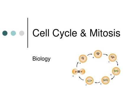 Cell Cycle & Mitosis Biology.