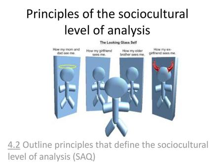 Principles of the sociocultural level of analysis