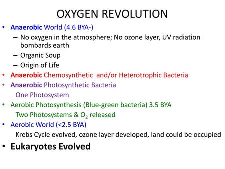 OXYGEN REVOLUTION Eukaryotes Evolved Anaerobic World (4.6 BYA-)