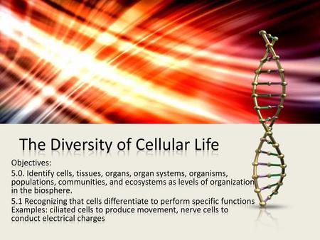 The Diversity of Cellular Life