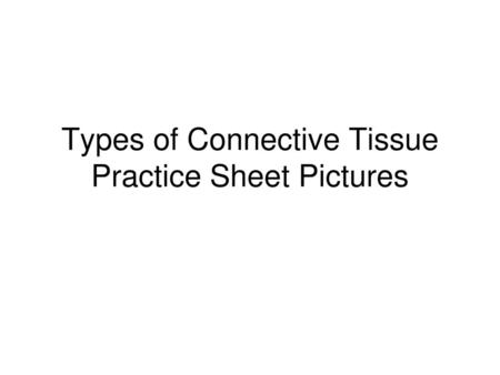 Types of Connective Tissue Practice Sheet Pictures