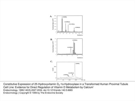 Fig. 1 HPLC and TLC analysis of[ 3H]25OHD3 metabolism in HKC-8 cells. A, Straight phase HPLC separation of radiolabeled vitamin D.