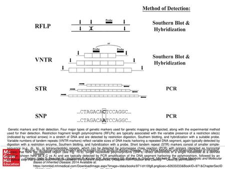 Genetic markers and their detection