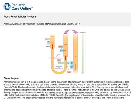 Copyright © 2017 American Academy of Pediatrics.