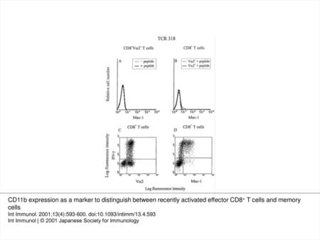 Fig. 1. Level of Mac-1 expression on naive and recently activated LCMV GP33–41-specific T cells from TCR 318 transgenic mice. (A and B) Splenocytes from.