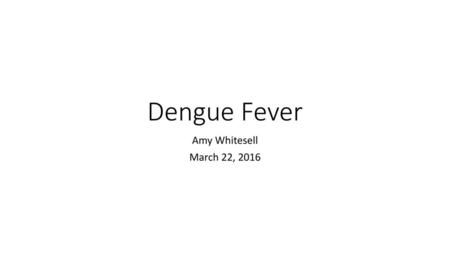 Dengue Fever Amy Whitesell March 22, 2016.