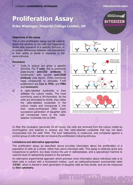 Proliferation Assay Erika Wissinger, Imperial College London, UK