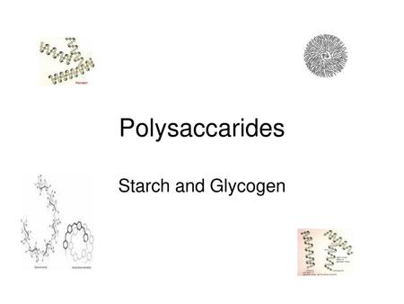 Polysaccarides Starch and Glycogen.