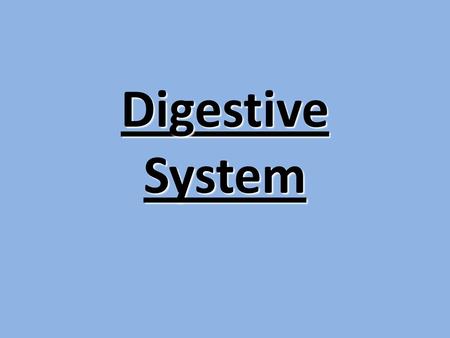 Digestive System.