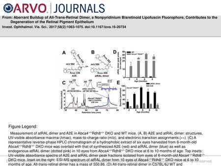 From: Aberrant Buildup of All-Trans-Retinal Dimer, a Nonpyridinium Bisretinoid Lipofuscin Fluorophore, Contributes to the Degeneration of the Retinal Pigment.