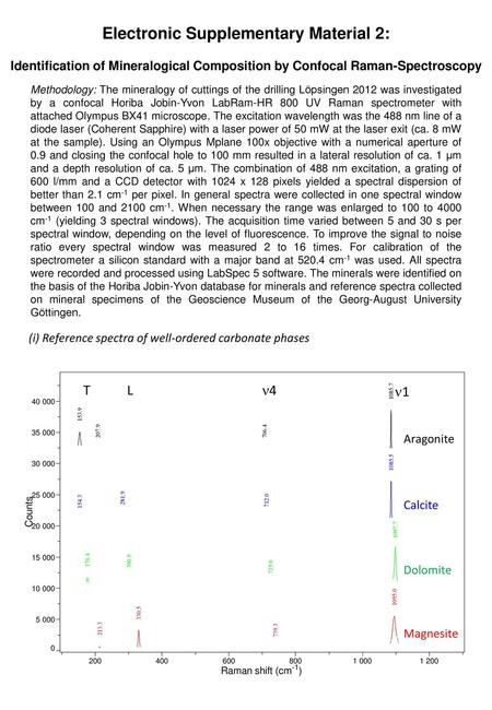 Electronic Supplementary Material 2: