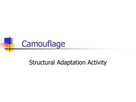 Structural Adaptation Activity