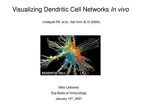 Visualizing Dendritic Cell Networks In vivo