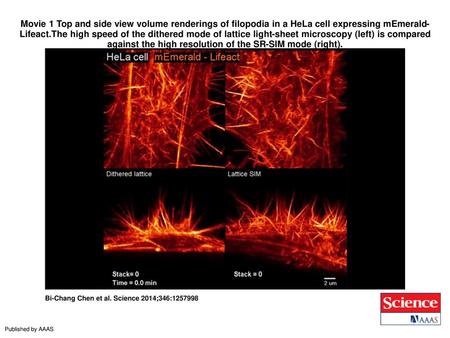 Movie 1 Top and side view volume renderings of filopodia in a HeLa cell expressing mEmerald-Lifeact.The high speed of the dithered mode of lattice light-sheet.