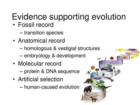 Evidence supporting evolution