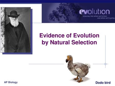 Evidence of Evolution by Natural Selection