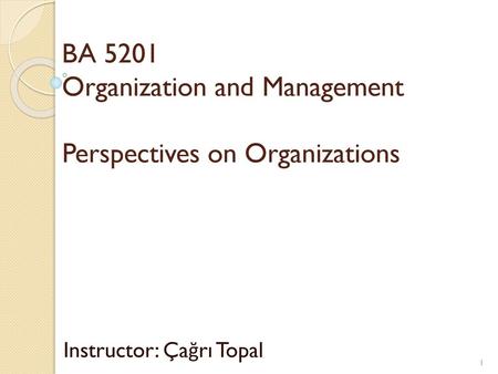 BA 5201 Organization and Management Perspectives on Organizations