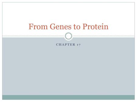 From Genes to Protein Chapter 17.