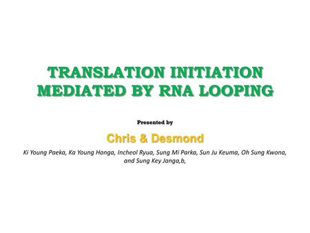 Translation initiation mediated by RNA looping