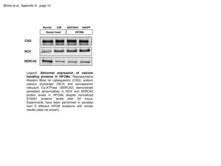 Brinks et al., Appendix A - page 10