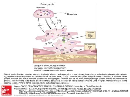 Normal platelet function