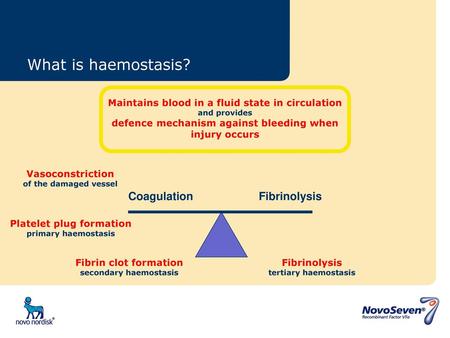 What is haemostasis? Coagulation Fibrinolysis