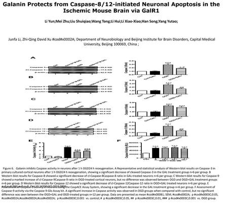 Galanin Protects from Caspase-8/12-initiated Neuronal Apoptosis in the Ischemic Mouse Brain via GalR1 Li Yun;Mei Zhu;Liu Shuiqiao;Wang Tong;Li Hui;Li Xiao-Xiao;Han.